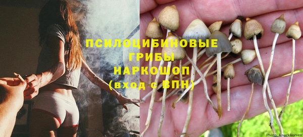 ECSTASY Магадан